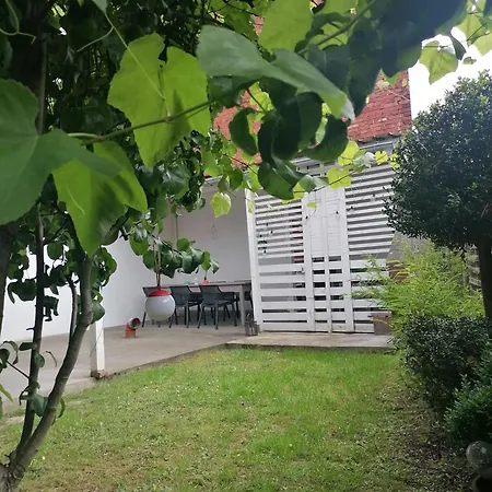 Haus Morgentau Mit Garten In Zentraler Lage